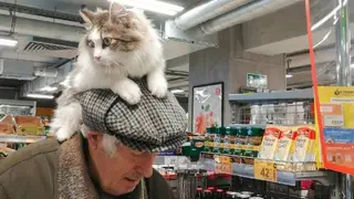 В Красноярском крае пенсионер подружился с котом Филимоном