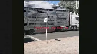 Фура с 31 коровой внутри загорелась в Томске