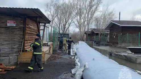23 дома и 199 приусадебных участков остаются подтопленными в Алтайском крае