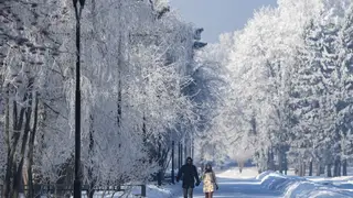 В Красноярский край пришли морозы до -55 градусов