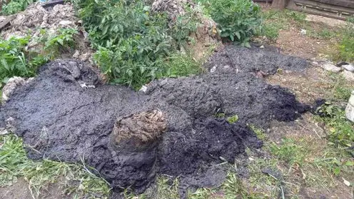 Жители Бурятии засорили канализацию простынями  