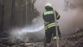 Четыре лесных пожара действуют на севере Хабаровского края