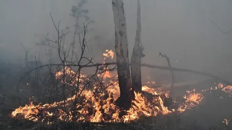 В Якутии вновь увеличилось число лесных пожаров
