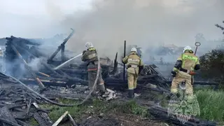 Неизвестные подожгли садовый дом в СНТ №30 в Железногорске