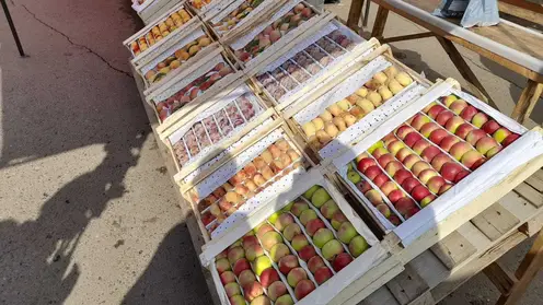 Более 800 кг опасных яблок изъяли из оборота в Красноярске