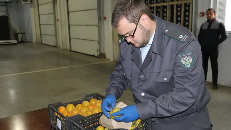 В этом году в Красноярский край завезли более 22 тысяч тонн фруктов и овощей из зарубежных стран